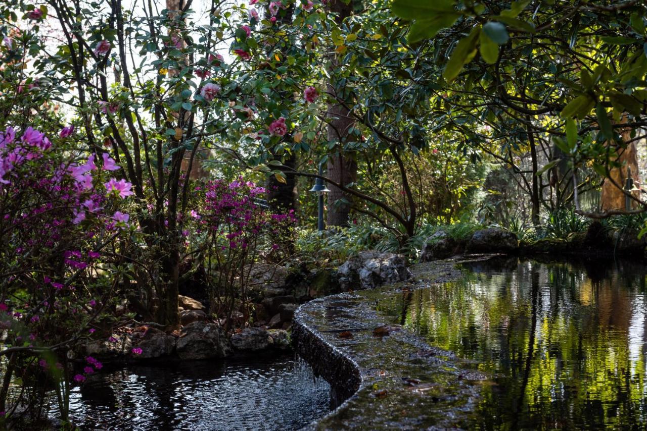 Quinta De Mouraes Casa Dos Rododendros ξενώνας Lever Εξωτερικό φωτογραφία