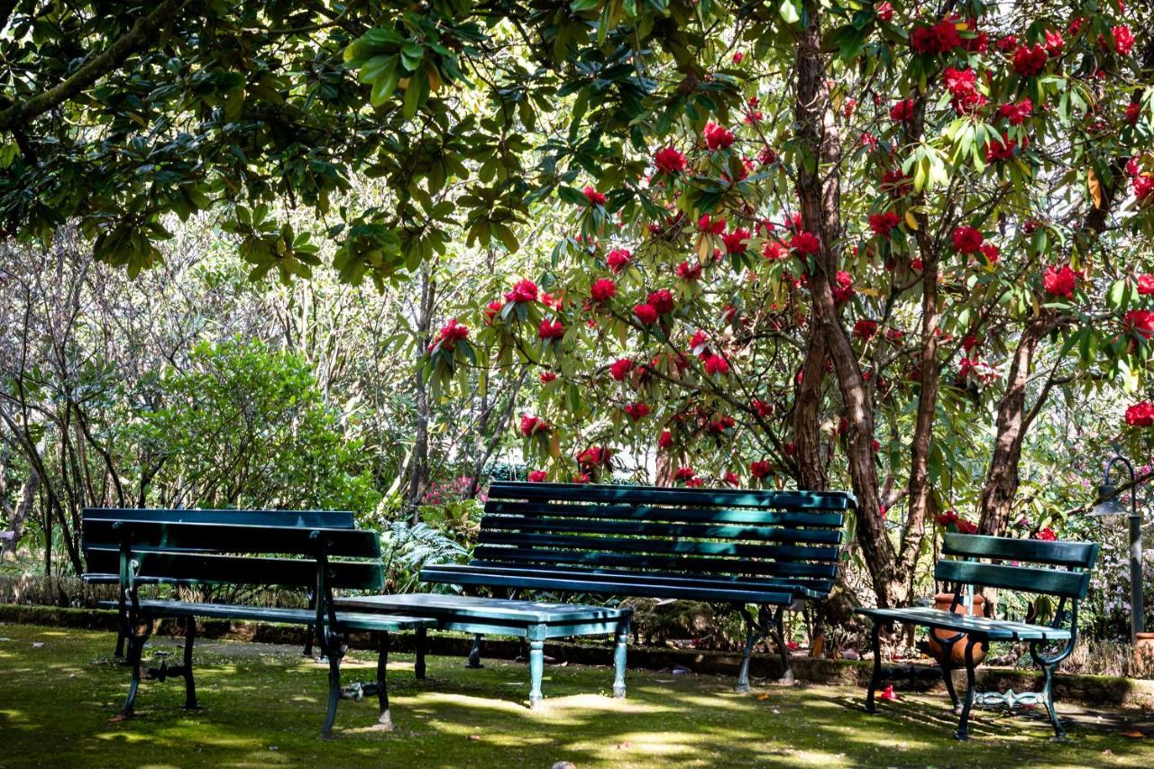 Quinta De Mouraes Casa Dos Rododendros ξενώνας Lever Εξωτερικό φωτογραφία