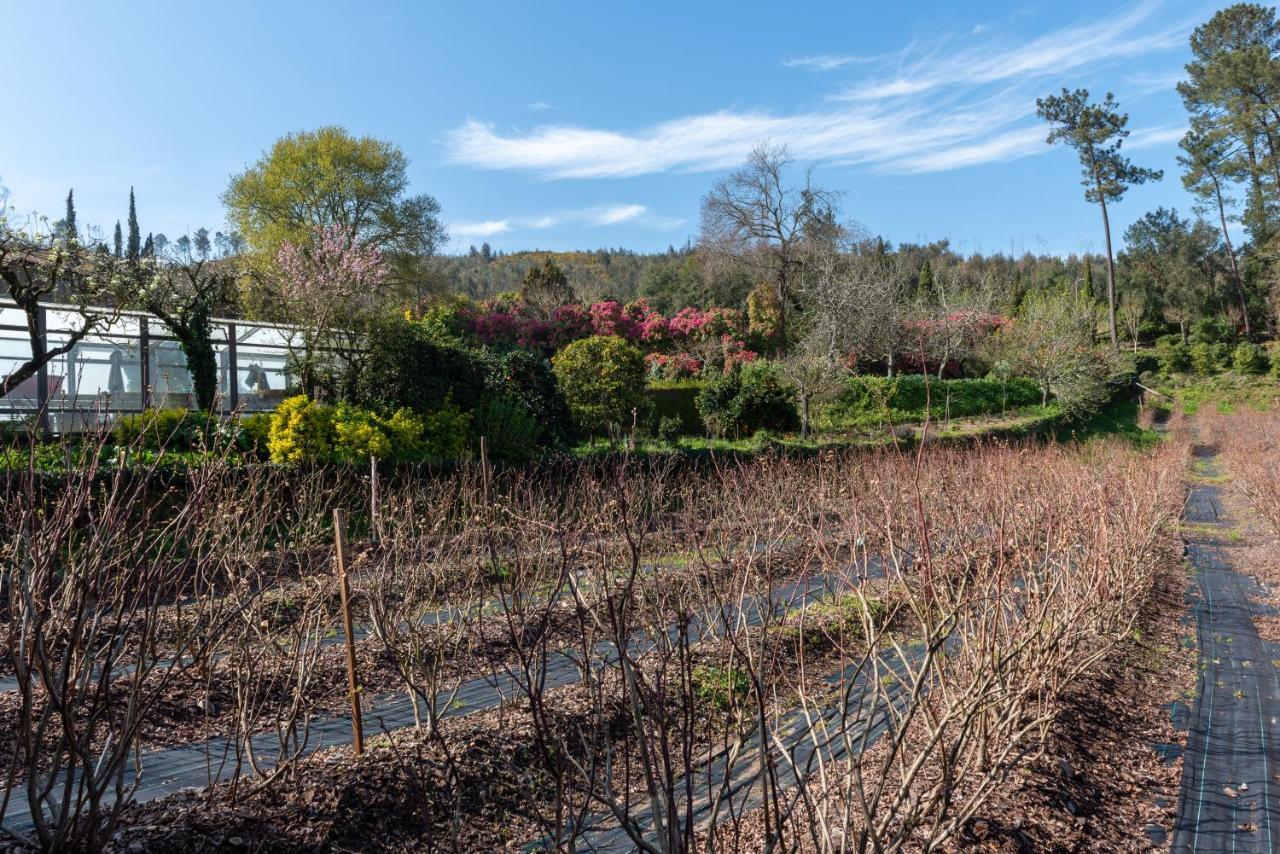 Quinta De Mouraes Casa Dos Rododendros ξενώνας Lever Εξωτερικό φωτογραφία
