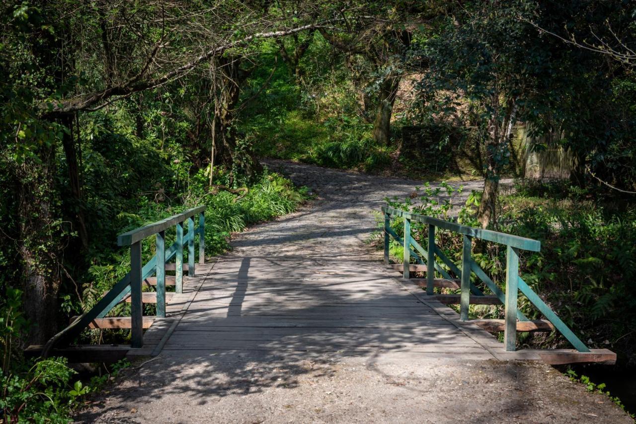 Quinta De Mouraes Casa Dos Rododendros ξενώνας Lever Εξωτερικό φωτογραφία