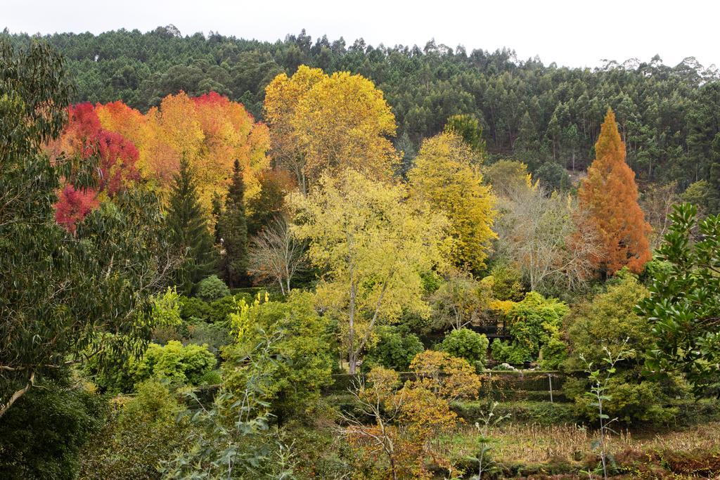Quinta De Mouraes Casa Dos Rododendros ξενώνας Lever Εξωτερικό φωτογραφία