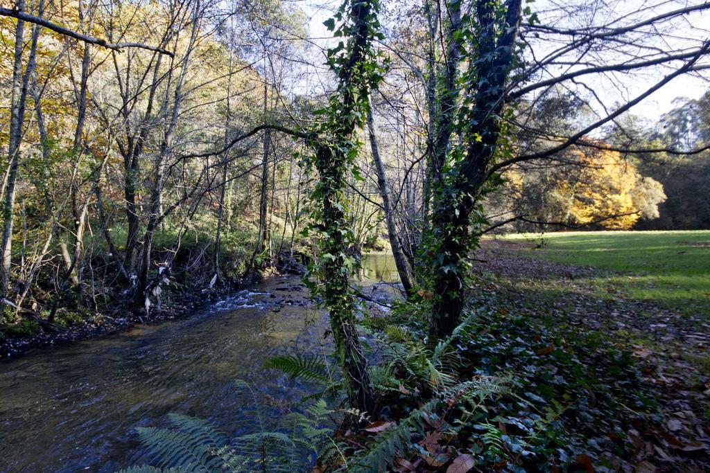 Quinta De Mouraes Casa Dos Rododendros ξενώνας Lever Εξωτερικό φωτογραφία