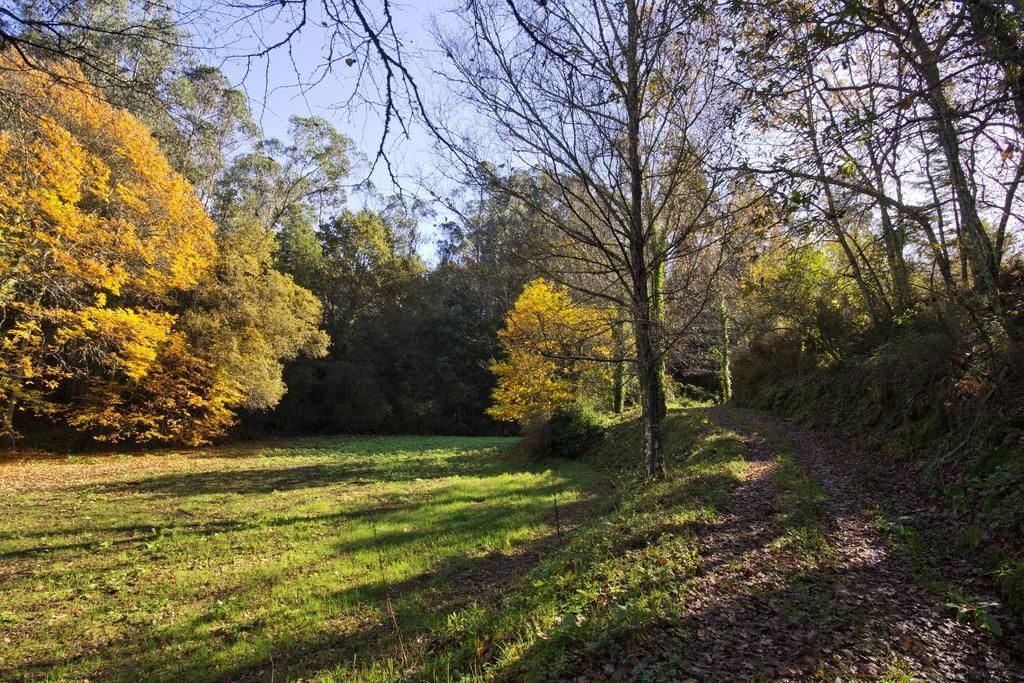 Quinta De Mouraes Casa Dos Rododendros ξενώνας Lever Εξωτερικό φωτογραφία