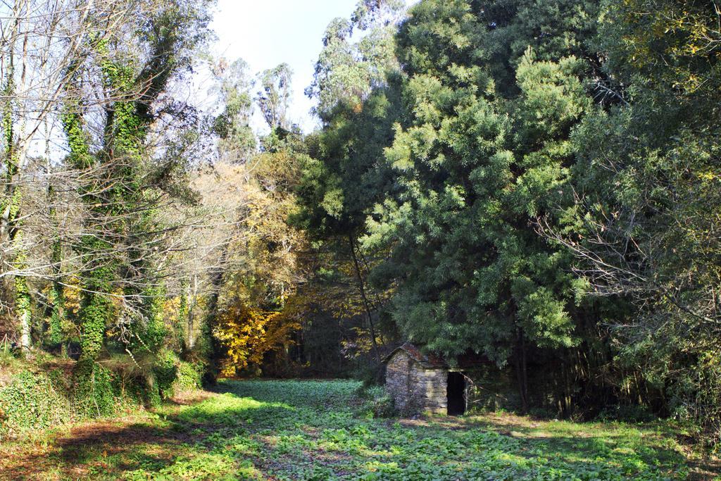 Quinta De Mouraes Casa Dos Rododendros ξενώνας Lever Εξωτερικό φωτογραφία