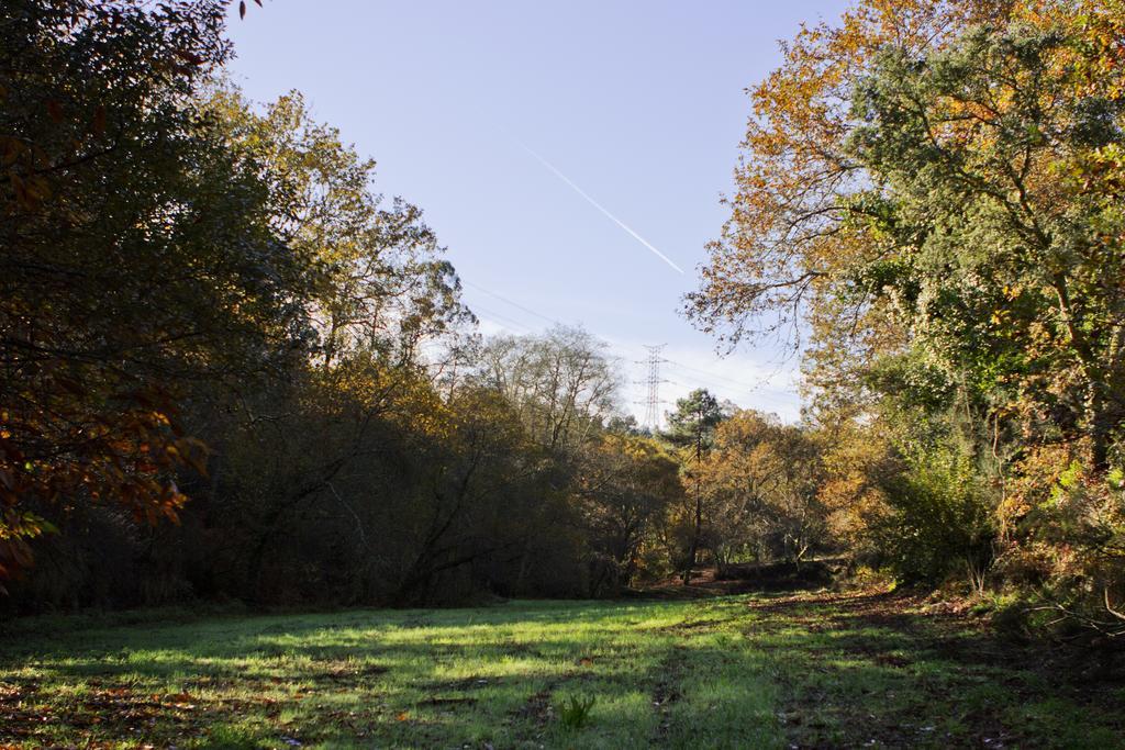 Quinta De Mouraes Casa Dos Rododendros ξενώνας Lever Εξωτερικό φωτογραφία