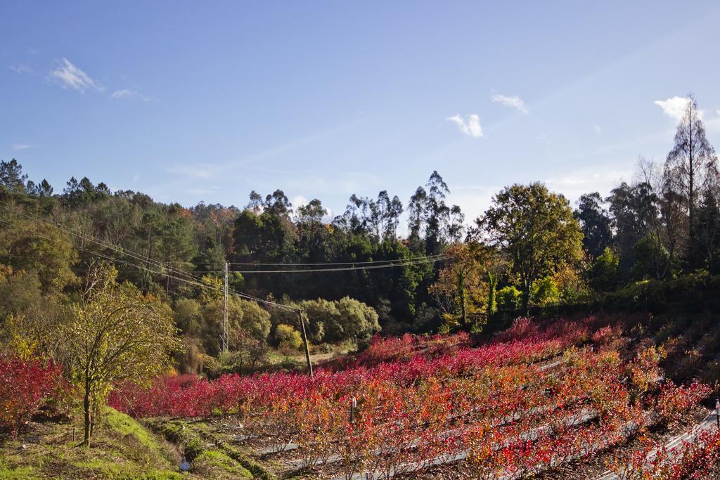 Quinta De Mouraes Casa Dos Rododendros ξενώνας Lever Εξωτερικό φωτογραφία