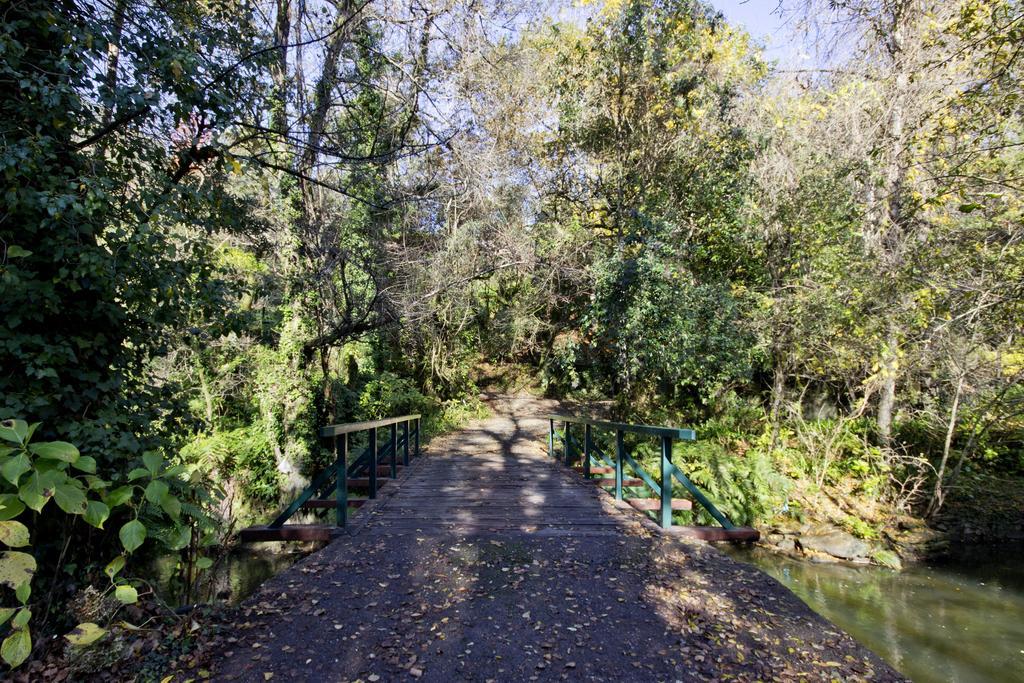 Quinta De Mouraes Casa Dos Rododendros ξενώνας Lever Εξωτερικό φωτογραφία